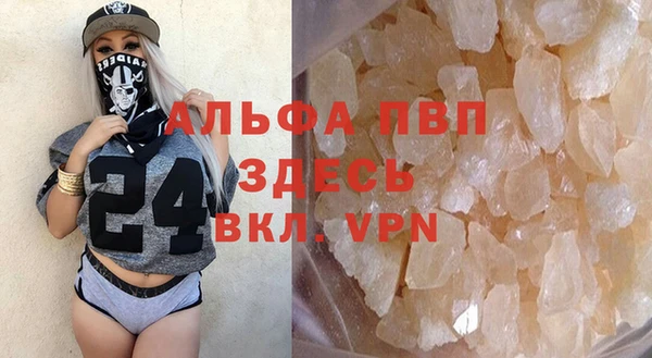 индика Абаза
