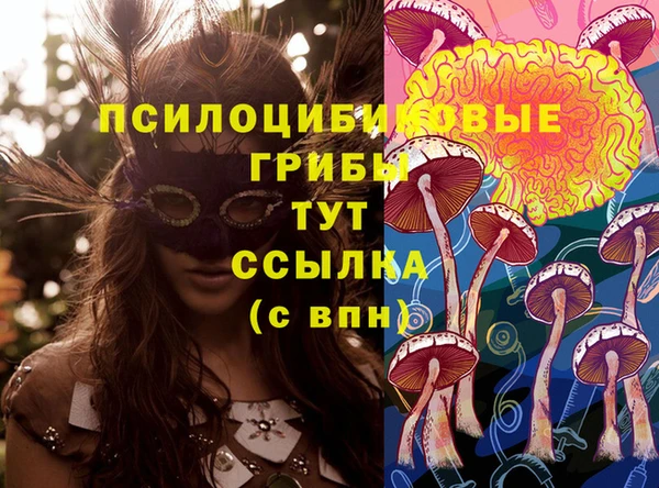индика Абаза