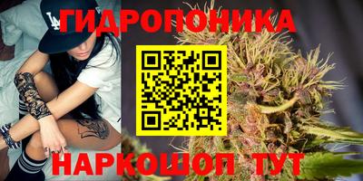 ECSTASY Новодвинск