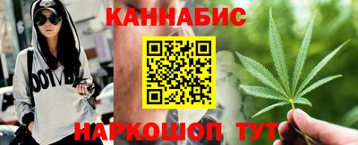 индика Новозыбков