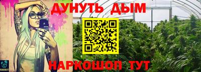 индика Новозыбков