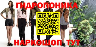 ECSTASY Новодвинск