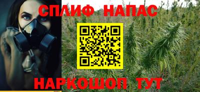 ECSTASY Новодвинск