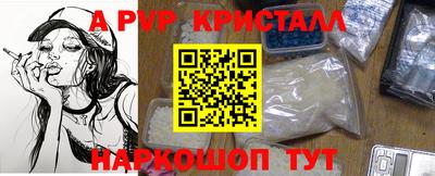 ECSTASY Новодвинск
