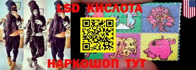 индика Новозыбков