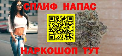 индика Новозыбков
