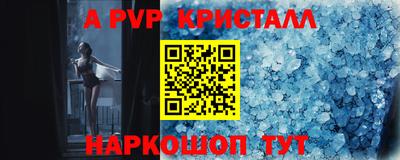 индика Новозыбков