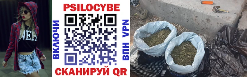Псилоцибиновые грибы MAGIC MUSHROOMS  MEGA рабочий сайт  Дальнереченск 